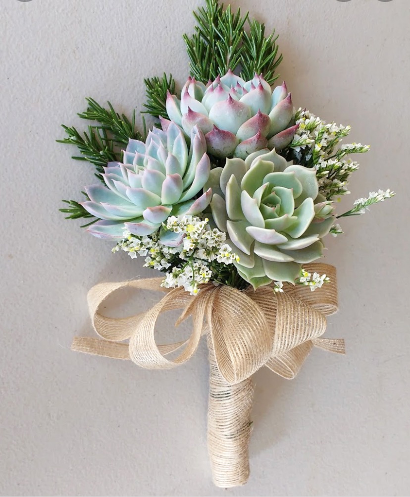 Succulents are eco-friendly wedding flowers
